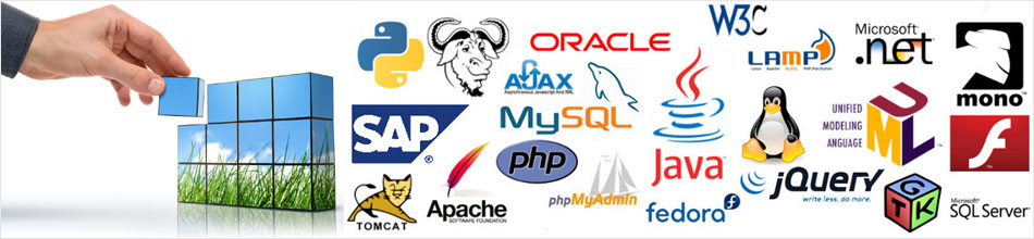 programming-language